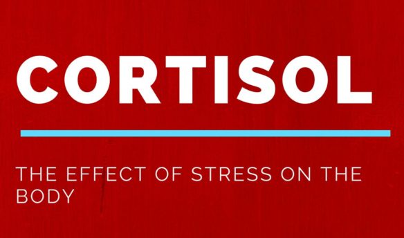 Cortisol | The effect of stress on the body